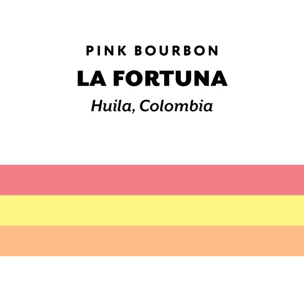H&S Coffee Roasters - La Fortuna Pink Bourbon Washed [Ultralight] | Colombia