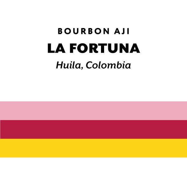 H&S Coffee Roasters - La Fortuna Bourbon Aji Washed [Ultralight] | Colombia