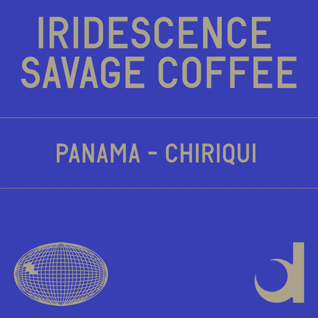 Datura | Iridescence Savage Coffee Gesha (100g)