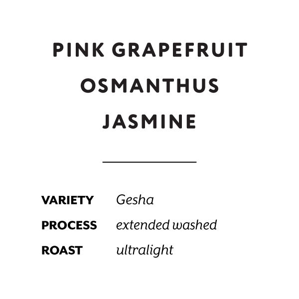 H&S Coffee Roasters - Yulisa Carhuallocllo, EF Washed Gesha [Ultralight] | Peru - Sigma Coffee UK