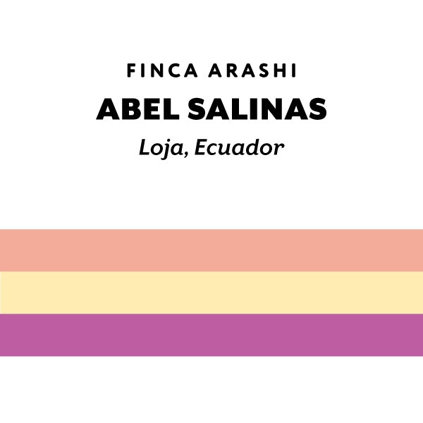 H&S Coffee Roasters - Abel Salinas Washed Typica Mejorado [Ultralight] | Ecuador