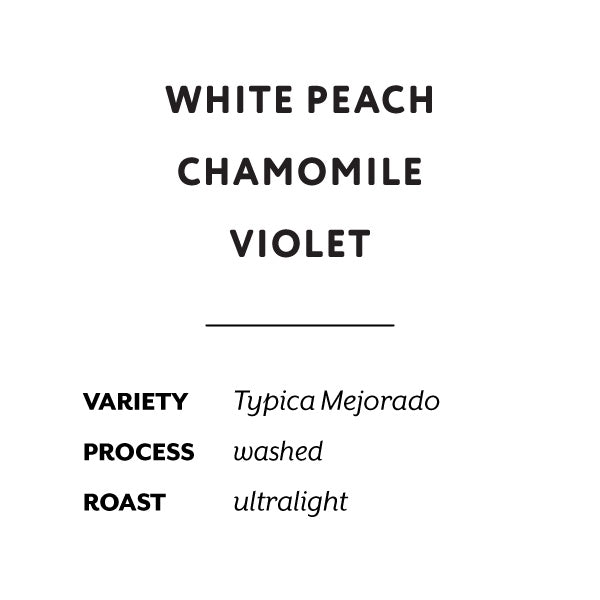 H&S Coffee Roasters - Abel Salinas Washed Typica Mejorado [Ultralight] | Ecuador