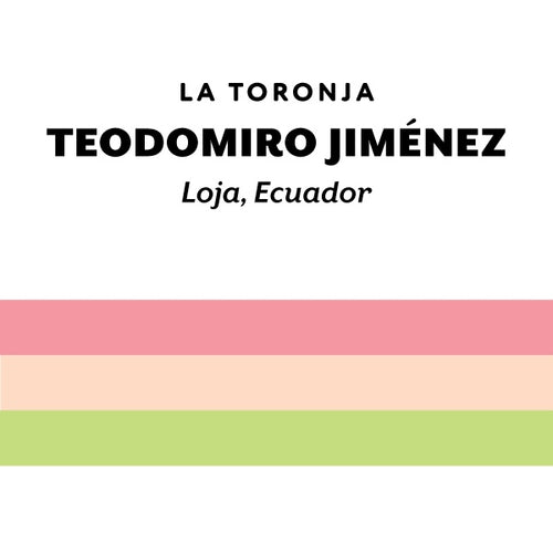 H&S Coffee Roasters - Teodomiro Jiménez, Washed | Ecuador