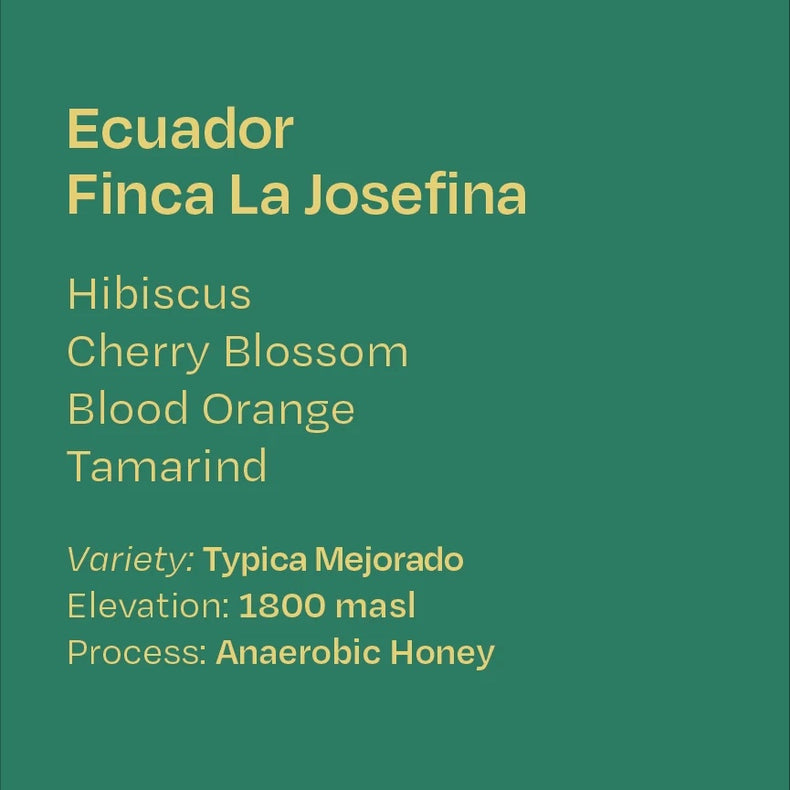 Helm Coffee Roasters - Finca La Josefina Anaerobic Honey Typica Mejorado | Ecuador