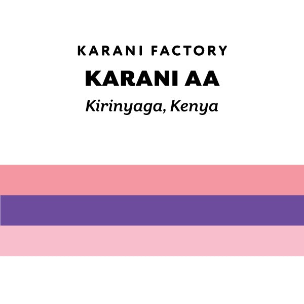 H&S Coffee Roasters - Karani AA 2026 Washed | Kenya