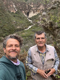 Flower Child - Pepe Jijon Mejorado