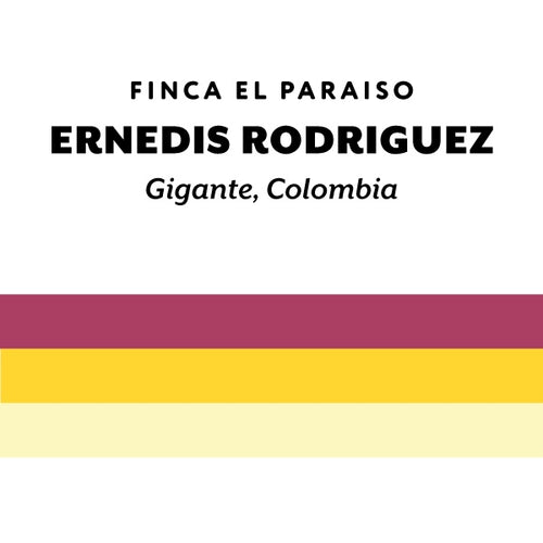 H&S Coffee Roasters - Ernedis Rodriguez [Ultralight] | Colombia