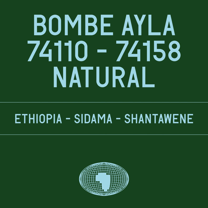 Datura Coffee - Bombe Ayla 74110 - 74158 Natural | Ethiopia