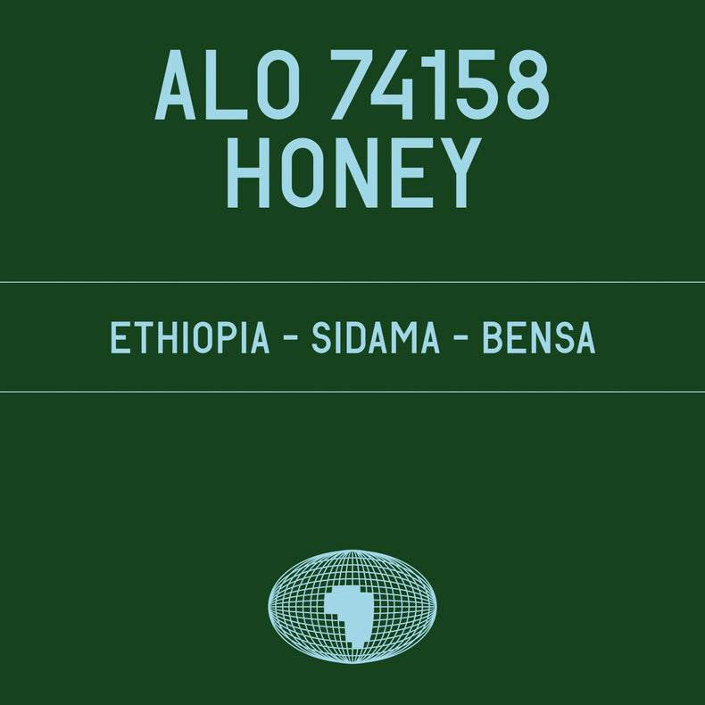 Datura Coffee - Alo 74158 Honey | Ethiopia