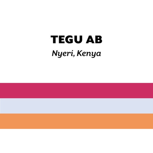 H&S Coffee Roasters - Tegu AB Washed Field Blend [Ultralight] | Kenya