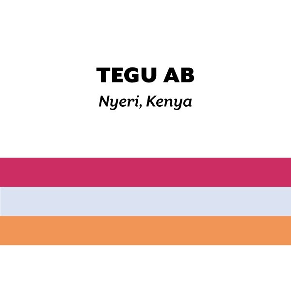 H&S Coffee Roasters - Tegu AB Washed Field Blend [Ultralight] | Kenya
