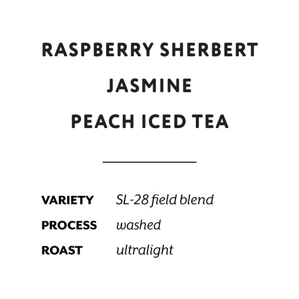 H&S Coffee Roasters - Tegu AB Washed Field Blend [Ultralight] | Kenya