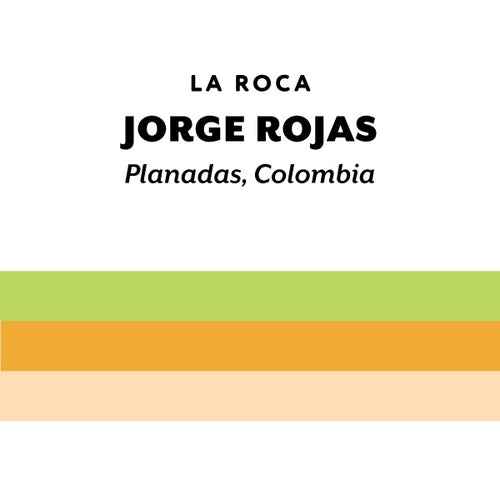 H&S Coffee Roasters - Jorge Rojas Gesha Anaerobic Washed [Ultralight] | Colombia