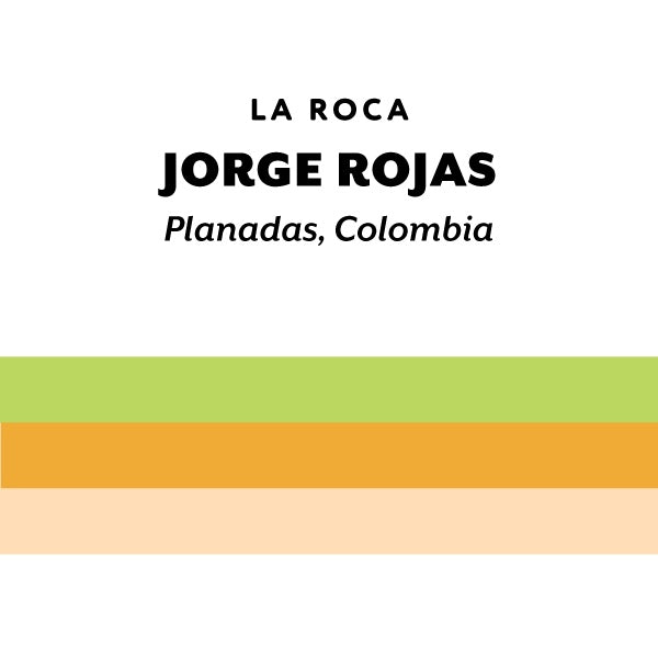 H&S Coffee Roasters - Jorge Rojas Gesha Anaerobic Washed [Ultralight] | Colombia