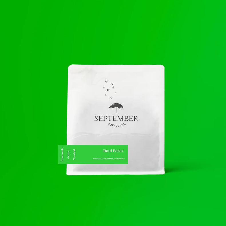 September Coffee Co. - Raul Perez Washed Geisha | Guatemala