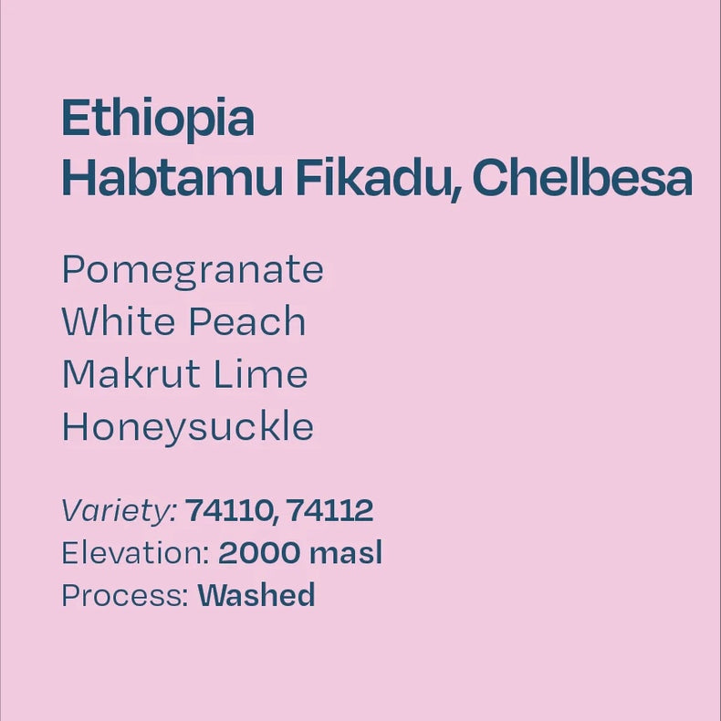 Helm Coffee Roasters - Habtamu Fikadu Washed 74110, 74112 | Ethiopia