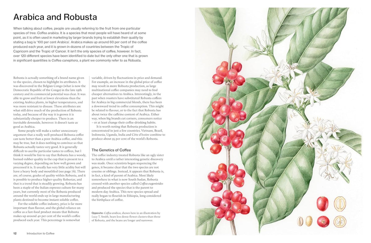 The World Atlas of Coffee 3rd Edition | James Hoffmann - Sigma Coffee UK