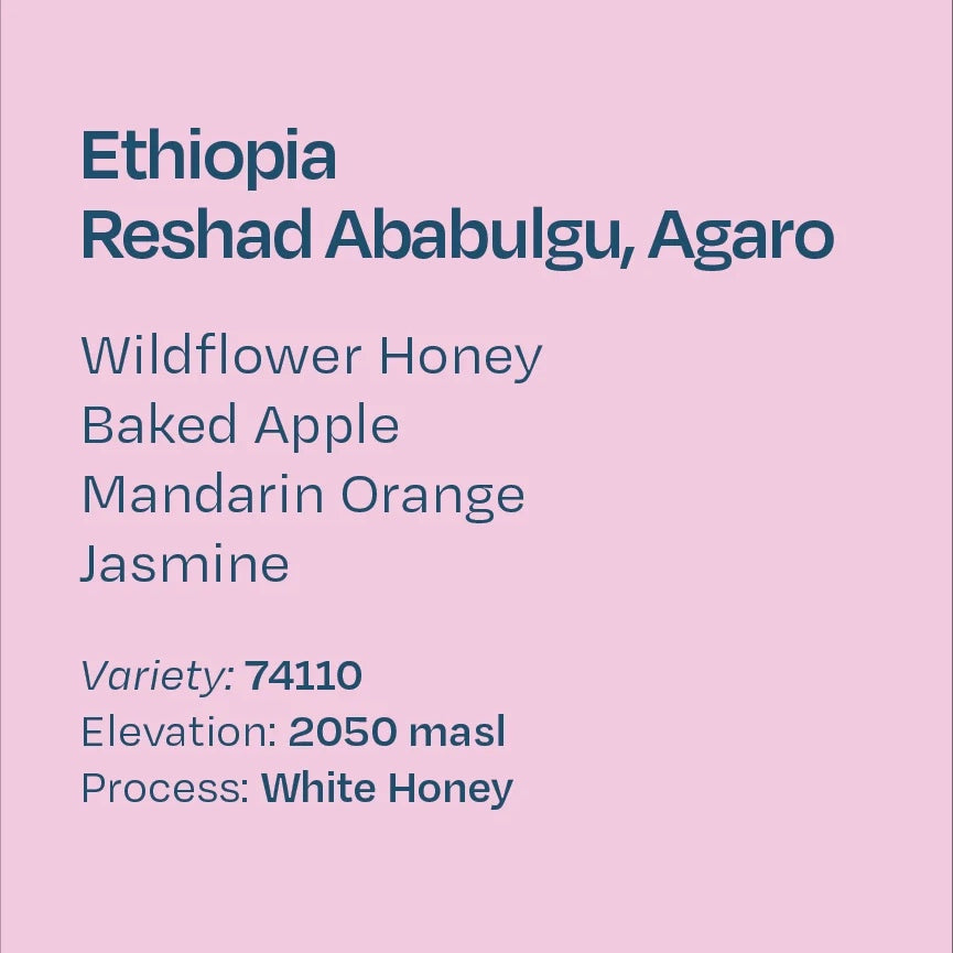 Helm Coffee Roasters - Reshad Ababulgu, White Honey 74110 | Ethiopia