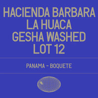 Datura | Hacienda Barbara - La Huaca Lot 12, Washed Gesha