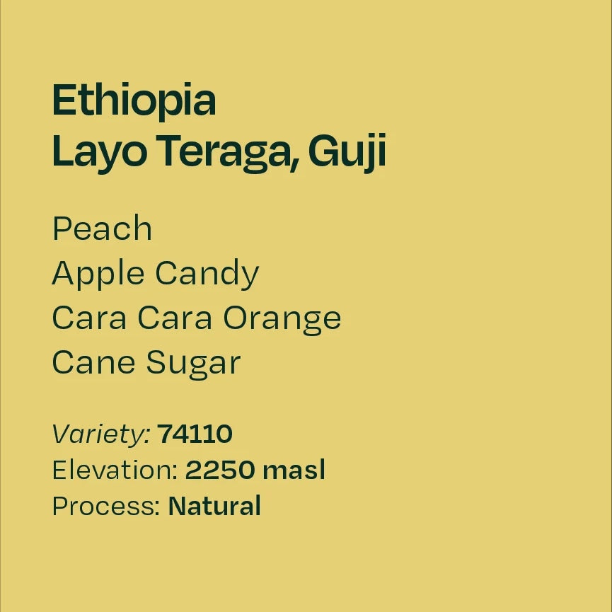 Helm Coffee Roasters - Layo Teraga, Natural 74110 | Ethiopia