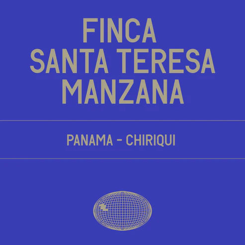 Datura | Finca Santa Teresa Manzana Gesha Washed