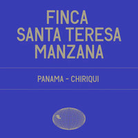 Datura | Finca Santa Teresa Manzana Gesha Washed