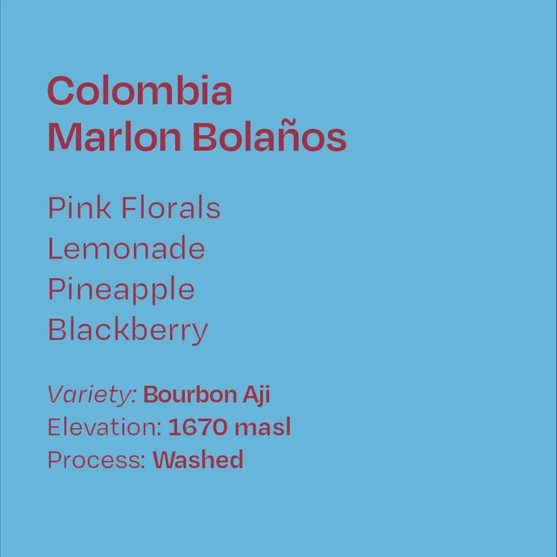 Helm Coffee Roasters - Marlon Bolaños Washed Bourbon Aji | Colombia