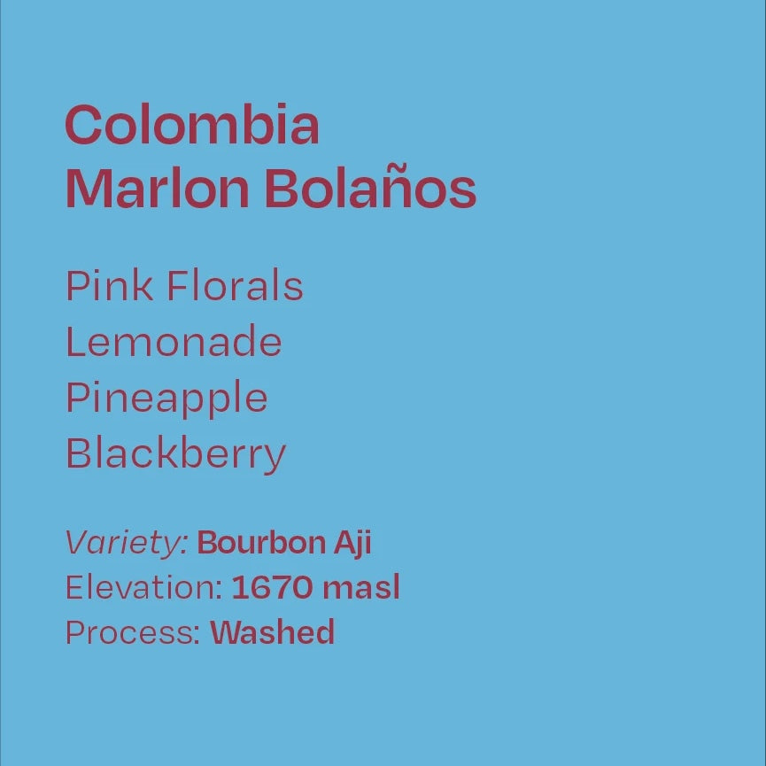 Helm Coffee Roasters - Marlon Bolaños Washed Bourbon Aji | Colombia