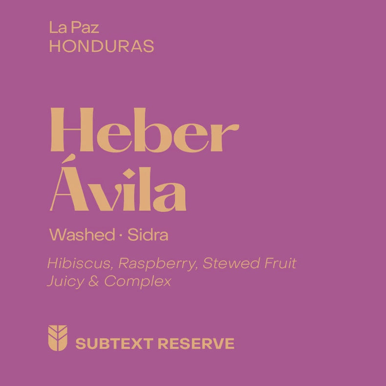 Subtext Coffee - Heber Ávila Washed Sidra | Honduras