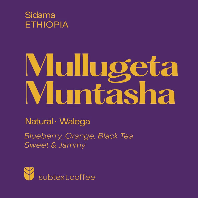 Subtext Coffee - Mullugeta Muntasha Walega Natural | Ethiopia