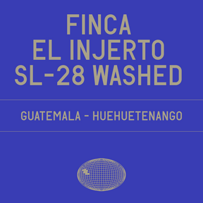 Datura | Finca El Injerto SL-28 Washed (200g) - Sigma Coffee UK