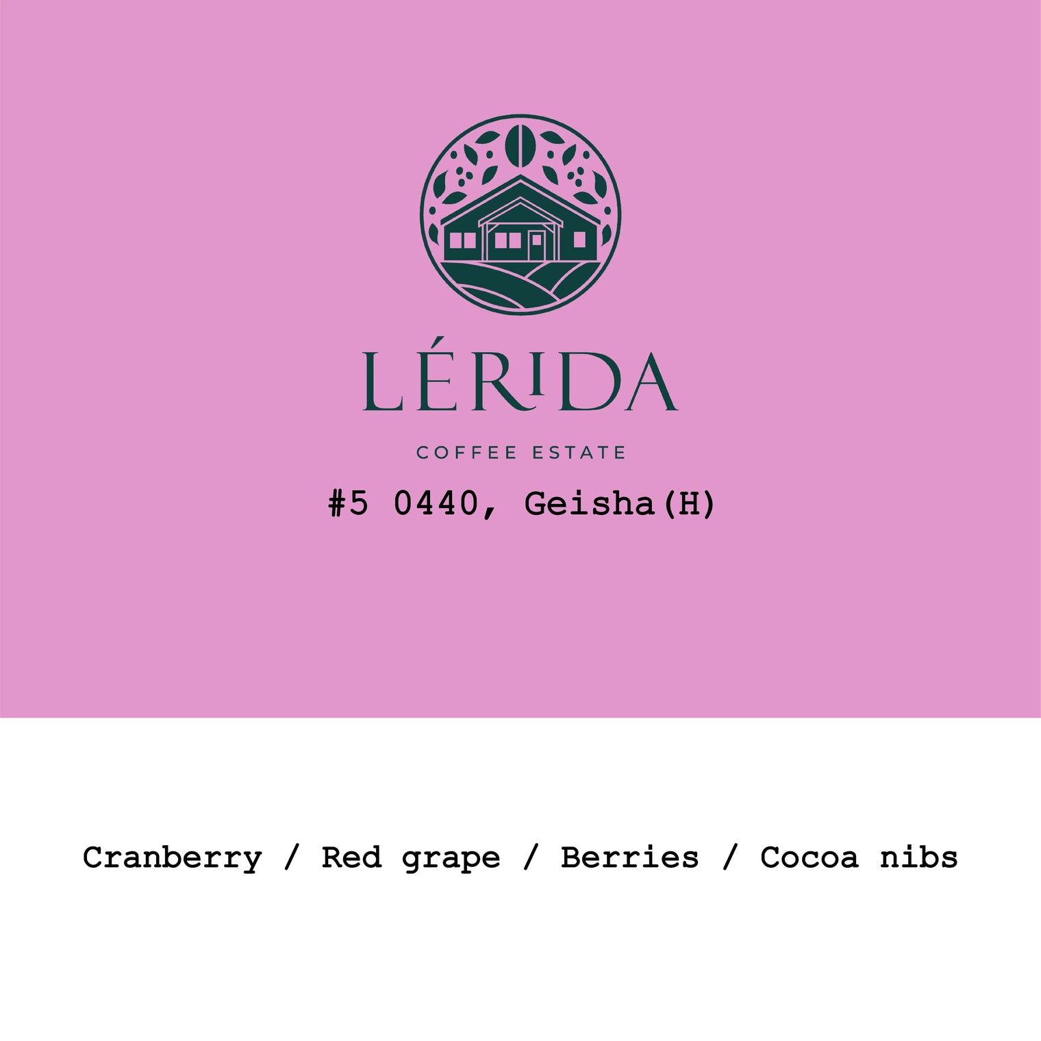 Goût & Co - Lérida Estate, Geisha #5 0440 Honey | Panama