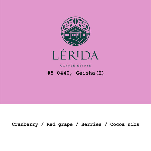 Goût & Co - Lérida Estate, Geisha #5 0440 Honey | Panama