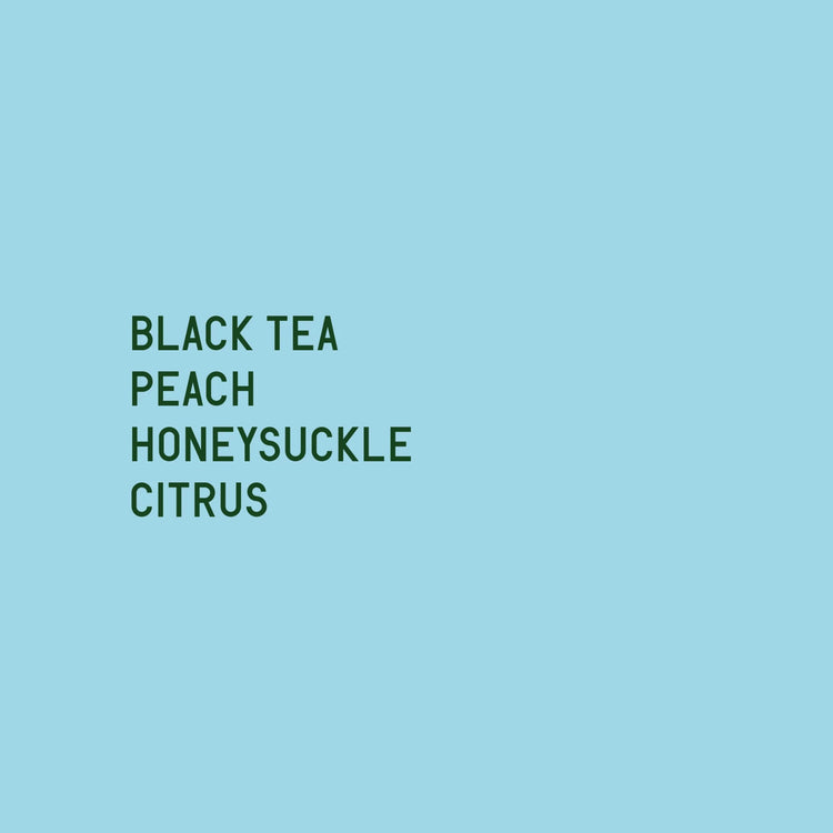 Datura Coffee - Guji Shakisso Hadeso JARC varieties - Local Landraces Fully Washed