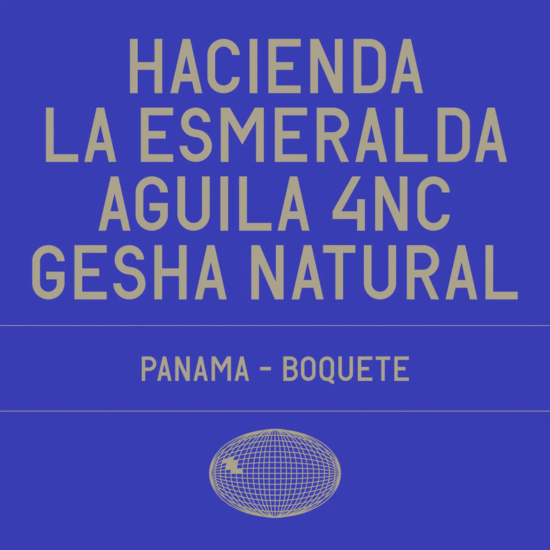 Datura Coffee - Hacienda La Esmeralda Aguila 4NC Gesha Natural | Panama