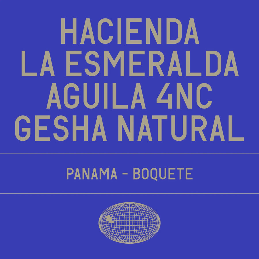 Datura Coffee - Hacienda La Esmeralda Aguila 4NC Gesha Natural | Panama