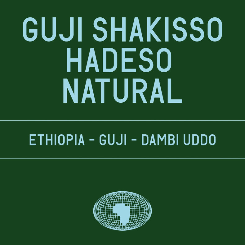 Datura Coffee - Guji Shakisso Hadeso JARC varieties - Local Landraces Natural