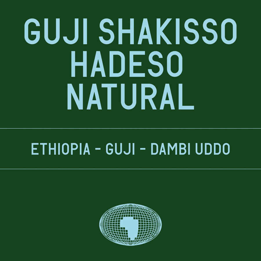 Datura Coffee - Guji Shakisso Hadeso JARC varieties - Local Landraces Natural