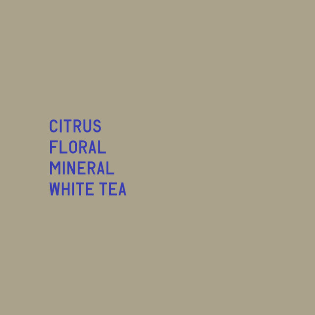 Datura | Finca Deborah Terroir (100g) - Sigma Coffee UK