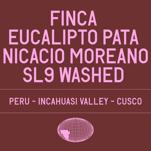 Datura Coffee - Finca Eucalipto - Pata Nicacio Moreano SL9 Washed