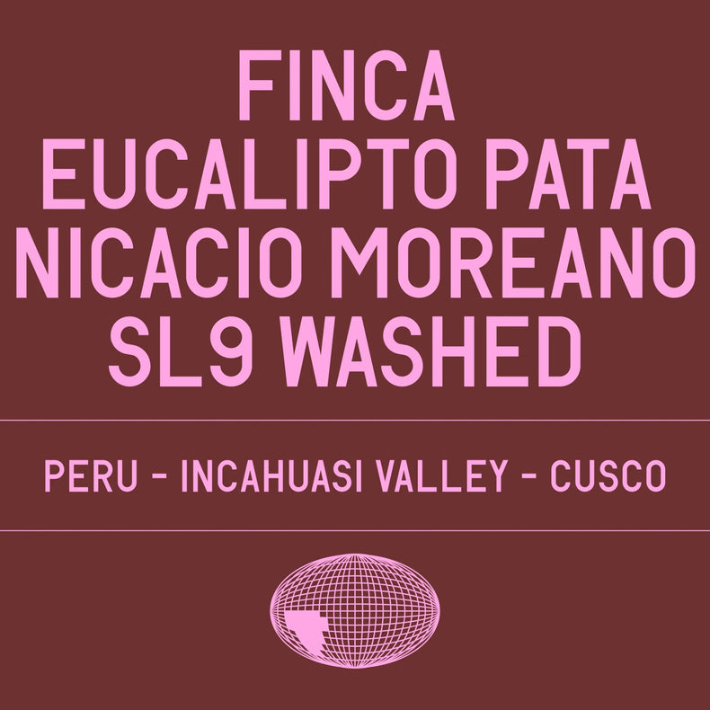 Datura Coffee - Finca Eucalipto - Pata Nicacio Moreano SL9 Washed