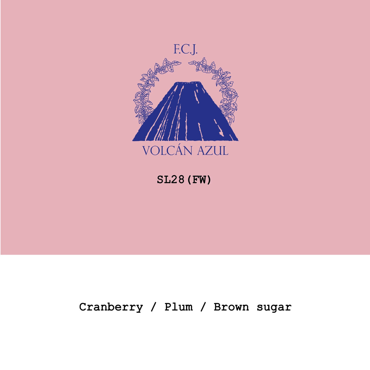 Goût & Co - Volcan Azul SL28 Fully Washed | Costa Rica