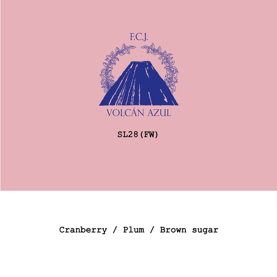 Goût & Co - Volcan Azul SL28 Fully Washed | Costa Rica