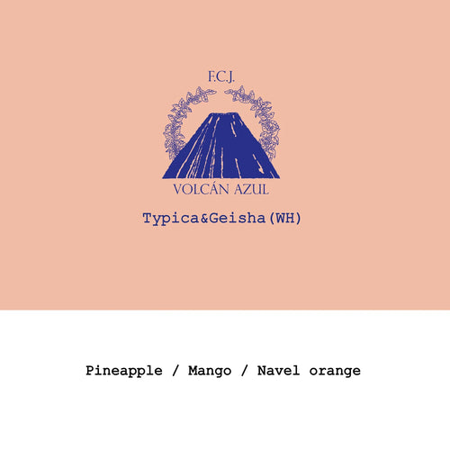 Goût & Co - Costa Rica - Volcan Azul, Typica & Washed Gesha Warm Red Honey