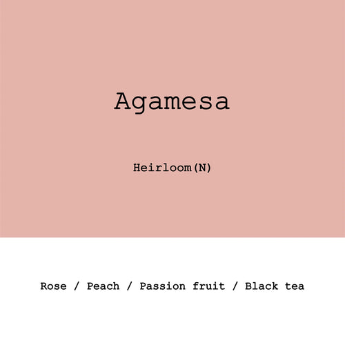 Goût & Co - Ethiopia Agamesa, Heirloom Natural G1 - Sigma Coffee UK