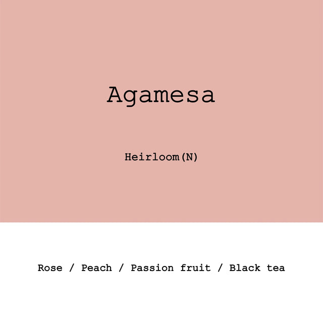 Goût & Co - Ethiopia Agamesa, Heirloom Natural G1 - Sigma Coffee UK