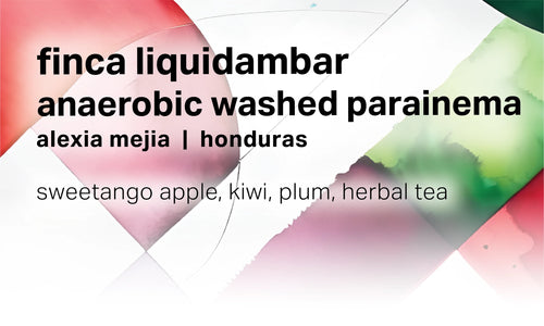 Moonwake - Alexia Mejia Finca Liquidambar - Anaerobic Washed Parainema