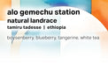 Moonwake - Alo Gemechu Station - Natural Landrace | Ethiopia - Sigma Coffee UK