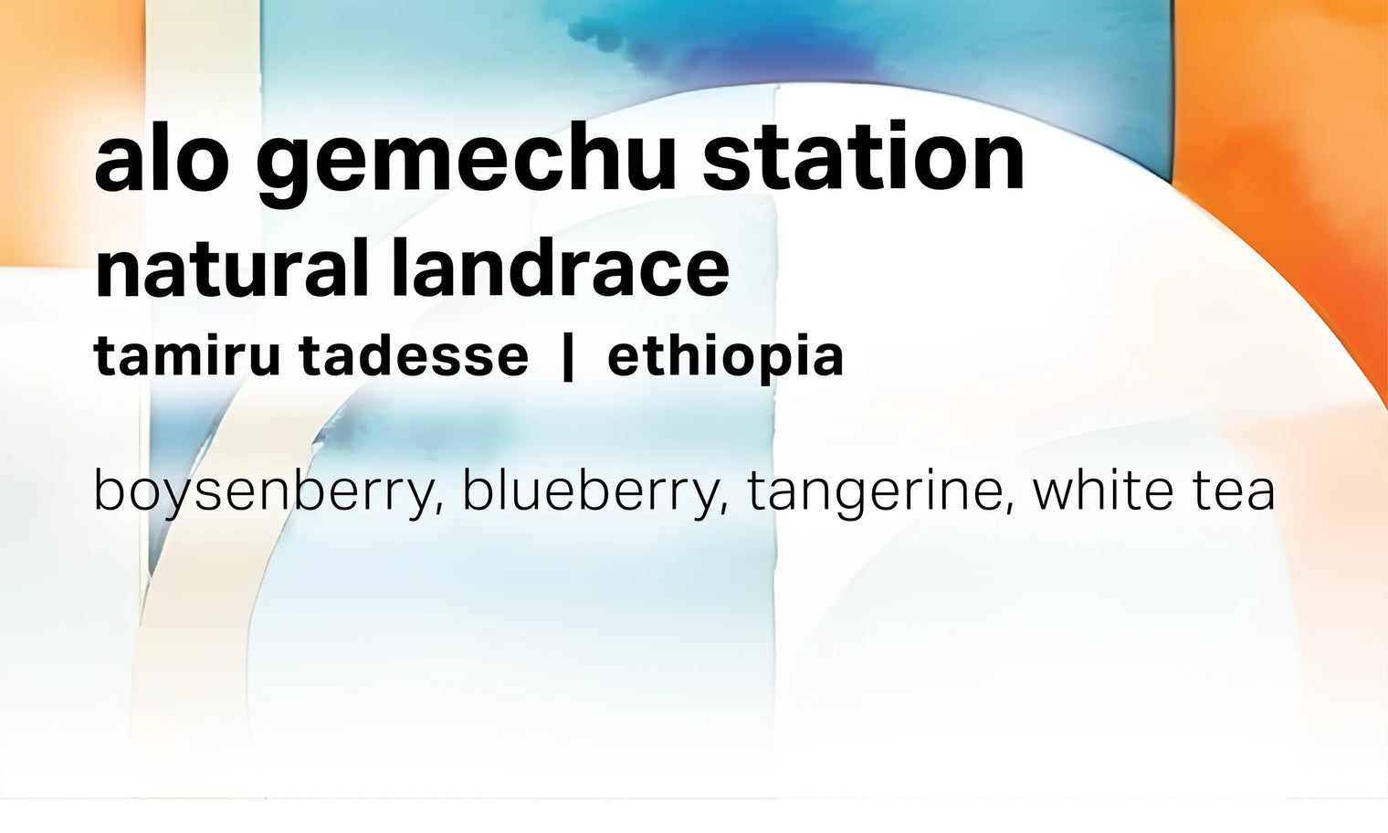 Moonwake - Alo Gemechu Station - Natural Landrace | Ethiopia - Sigma Coffee UK