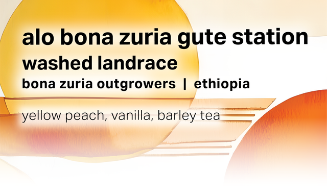 Moonwake Coffee Roasters - Alo Bona Zuria Gute Station - Washed Landrace | Ethiopia - Sigma Coffee UK